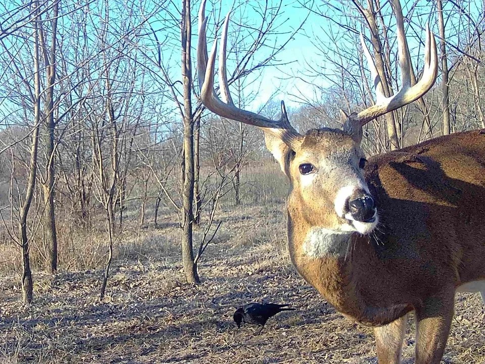 hunting land