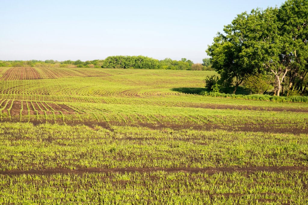 Kansas Land