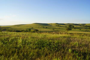 Kansas Land